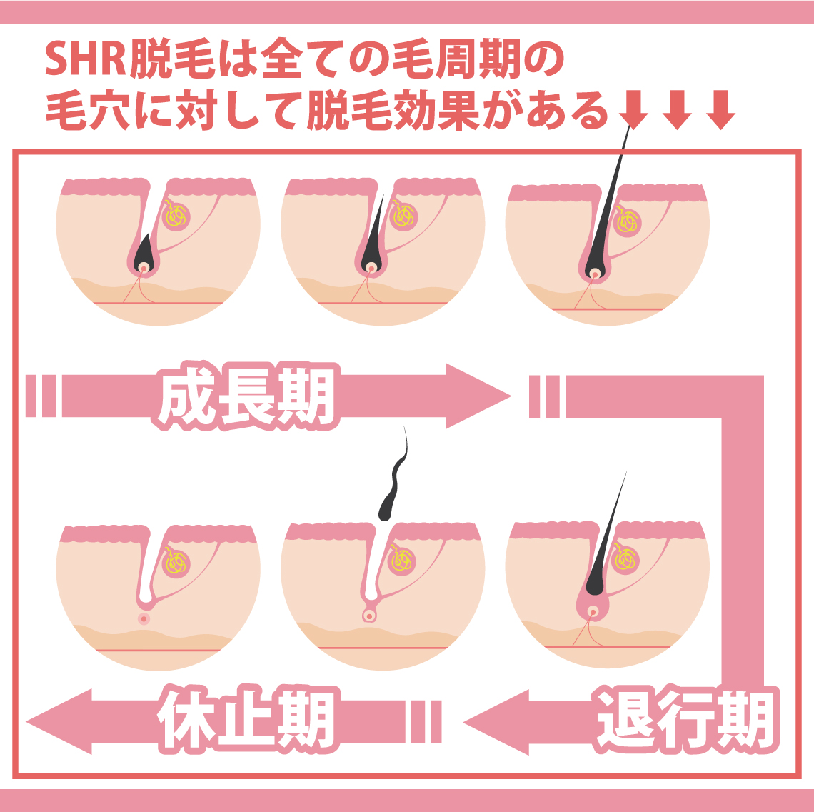 毛穴の仕組み