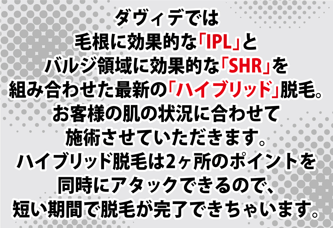 ハイブリッド脱毛説明 ハイブリッド脱毛説明